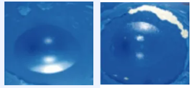 image.png.png